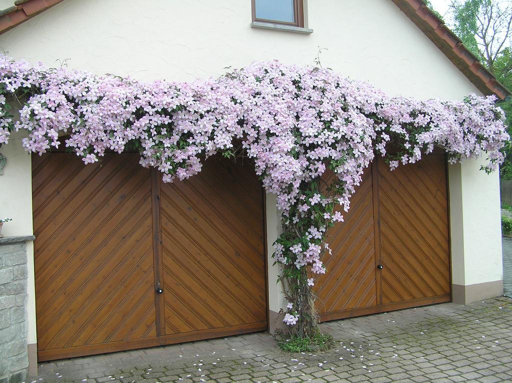 Ferienwohnung Am Alten Berg Ochsenfurt Exterior foto